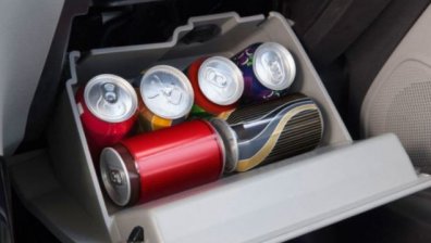 Знаете ли, че жабката в колата е мини хладилник?