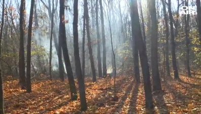 Обявиха екстремален индекс за пожароопасност на места в Добричко
