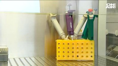 Почистват и дезинфекцират помещенията с животни в Трапище