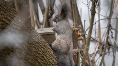 Времето днес: Слънчево с температури до 13 градуса