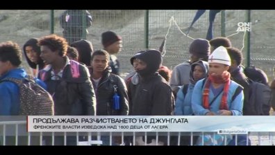 Продължава разчистването на Джунглата