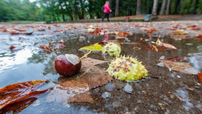 Задават се валежи, времето слабо ще захладнее