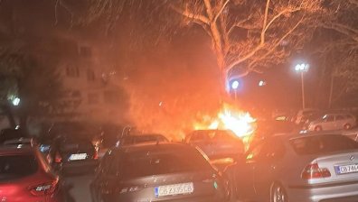 Седем коли изгоряха в Козлодуй през нощта (ВИДЕО)