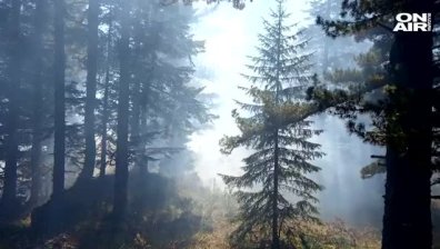 Пожарът край Рилския манастир е локализиран