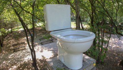 Сложиха тоалетна чиния на паметник в столичен парк