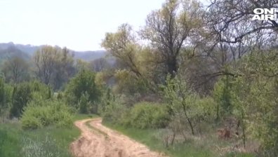 Общински съветник гласувал по телефона за продажбата на близо 1000 дка гора