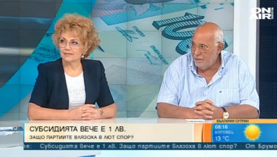 1 лев субсидия? Партиите щели да се чудят откъде да намерят пари