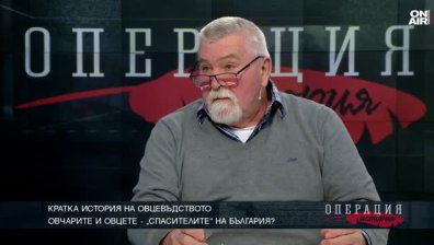 От 11 млн. овце в България са останали 500-600 хил.