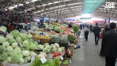 Питбул нахапа момиченце на пазара в Кърджали