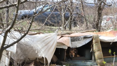 Откраднали колата на Лена Бориславова, полицаи я откриха в нива до катун (+СНИМКИ)
