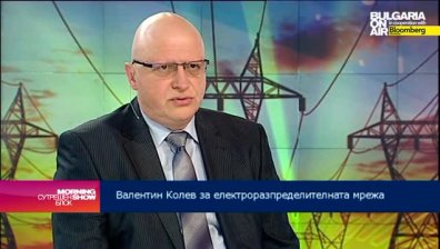 Доц. Валентин Колев: По 80 млн. лв. годишно трябва да инвестира ЕСО в преносната мрежа