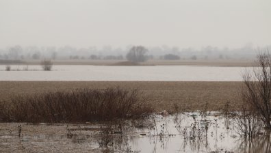 Идва нова порция валежи. МОСВ предупреди къде реките ще се пълнят