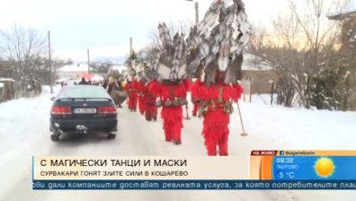 Сурвакари в Кошарево гонят злите сили с магически песни и танци