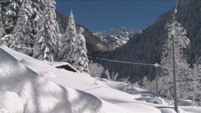 Капризите на времето - каква зима ще ни донесе ураганният вятър?