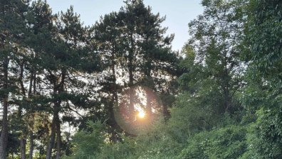 Двама души са открити мъртви в Стара планина
