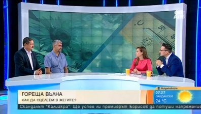 Лекар: При внезапни гръмотевични бури с Оранжев код работата се прекратява!
