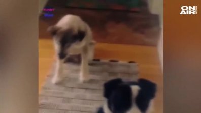 Click 30 октомври част 1