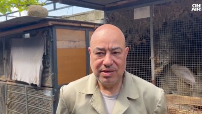 Защо заешкото месо става хит на българската трапеза?