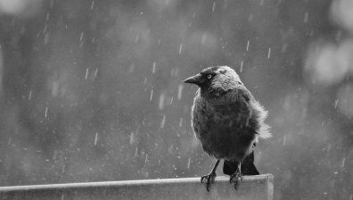 Посрещаме дъждовен понеделник, планинарите да внимават