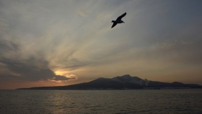 5,6 по Рихтер удари бреговете на Курилските острови