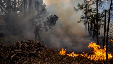 Ад в Европа: Пожари и над 45 градуса в Португалия, в Лондон е по-топло от Хаваите