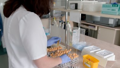 Вадят Русия от Токио 2020 заради допинг нарушения?