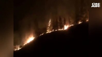 Горските пожари в Израел се разрастват 