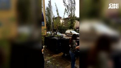 Цяла нощ отстраняват щетите от силната буря вчера в Северозападна България