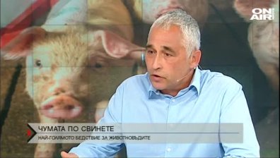  Чумата по свинете