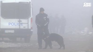 Полиция и горски с акция срещу незаконно съхранение на дървесина