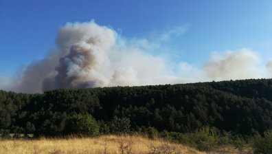 Пожарът в Кресненското дефиле е овладян