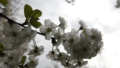 Облачно, но топло начало на седмицата с максимални температури до 18°