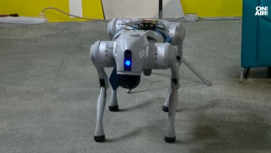 Кучето робот Рашко - чете книги, танцува и изпълнява задачи