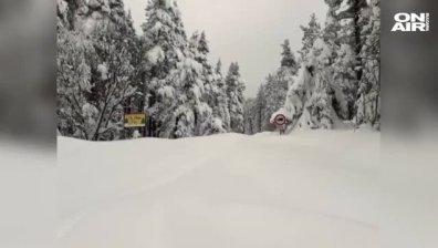 Продължава спасителната акция за блокираните в местността Върховръх