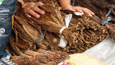 Добри новини за тютюнопроизводителите - ще получат 71 млн. лв.