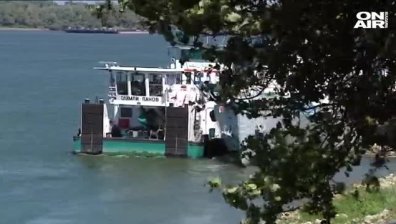 Пчеларите да внимават, започва пръскането срещу комари