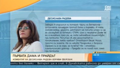 Трябва ли да се извини президентшата за коментара си за гей парада?