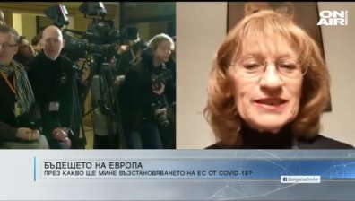 Политолог: Кризата изкристализира българския обществен интерес