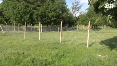 Още един протест в "Дружба" - за защита на зелените площи