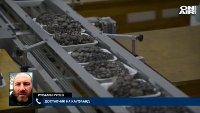 Откриха атропин в кръвта на семейство, консумирало гъби от магазин