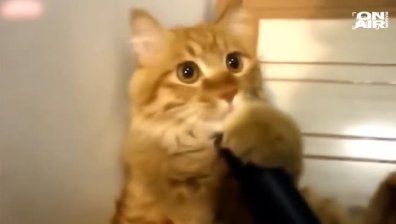 Click 05 ноeмври част 2