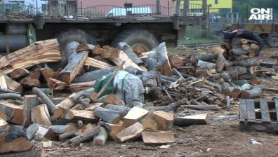 Спецпрокуратурата в акция: Задържаха група за добив и търговия с дърва