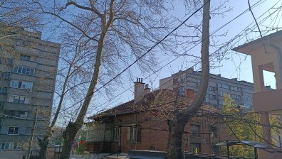 Ямбол: Опасно надвиснали клони и жици в широкия център