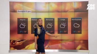 Централна прогноза