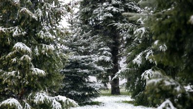 Словашки турист се загуби в Родопите