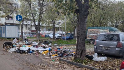Нетърпима миризма от сметище във Варна: Гларуси, кучета и хора разхвърлят боклука