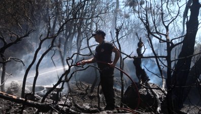 Гърция се е сблъскала с рекордните 1200 пожара само за месец