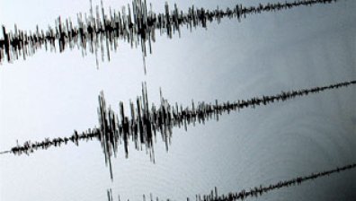 Земетресение в Индия взе 19 жертви