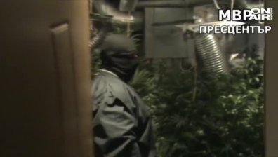 Разбиха бургаска наркобанда