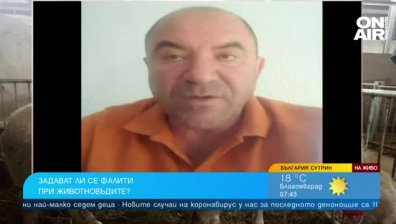 100% ръст в разходите за изхранване на животните, фалитите изглеждат неизбежни